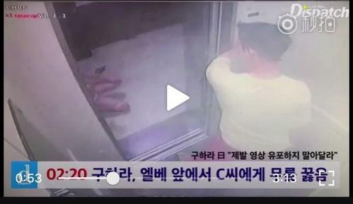 沉香今日爆料视频在线看,揭秘幕后真相，精彩内容抢先看